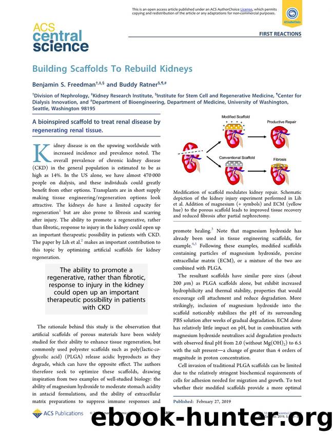Building Scaffolds To Rebuild Kidneys by Benjamin S. Freedman & Buddy Ratner