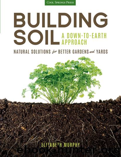 Building Soil: A Down-to-Earth Approach by Elizabeth Murphy