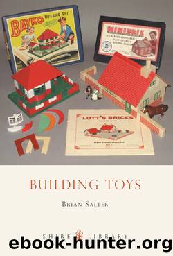 Building Toys by Brian Salter