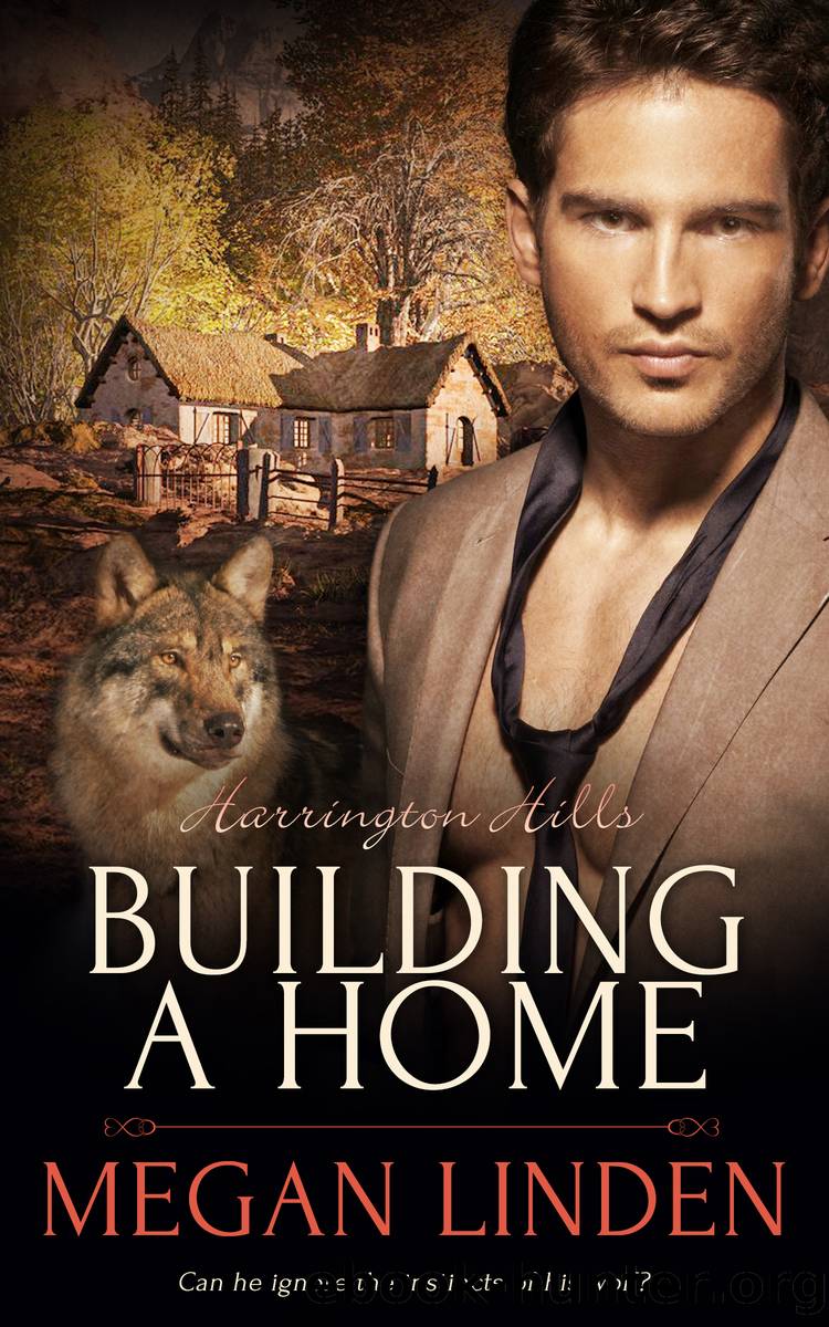 Building a Home by Megan Linden