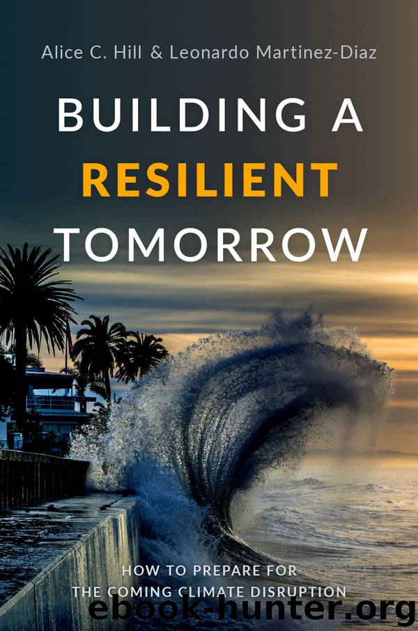 Building a Resilient Tomorrow by Alice C. Hill