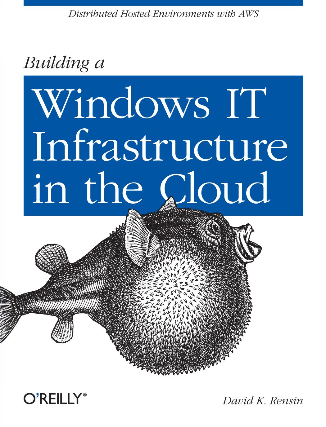 Building a Windows IT Infrastructure in the Cloud by David K. Rensin