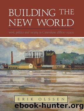Building the New World by Erik Olssen