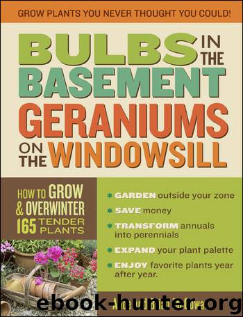 Bulbs in the Basement, Geraniums on the Windowsill by Brian McGowan