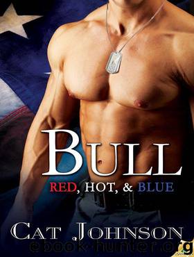 Bull (Red, Hot, & Blue) by Johnson Cat