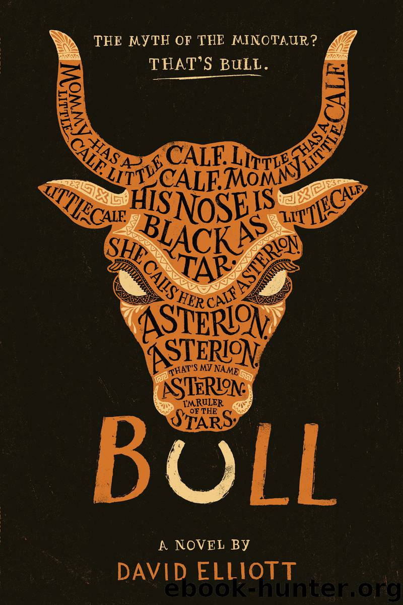 Bull by David Elliott