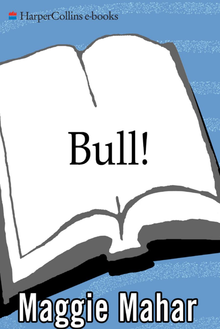Bull: A History of the Boom and Bust, 1982-2004 by Maggie Mahar
