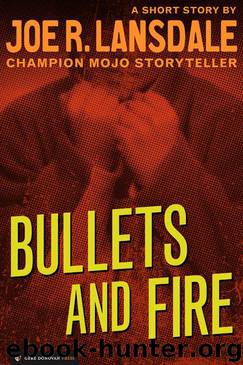 Bullets and Fire by Lansdale Joe R