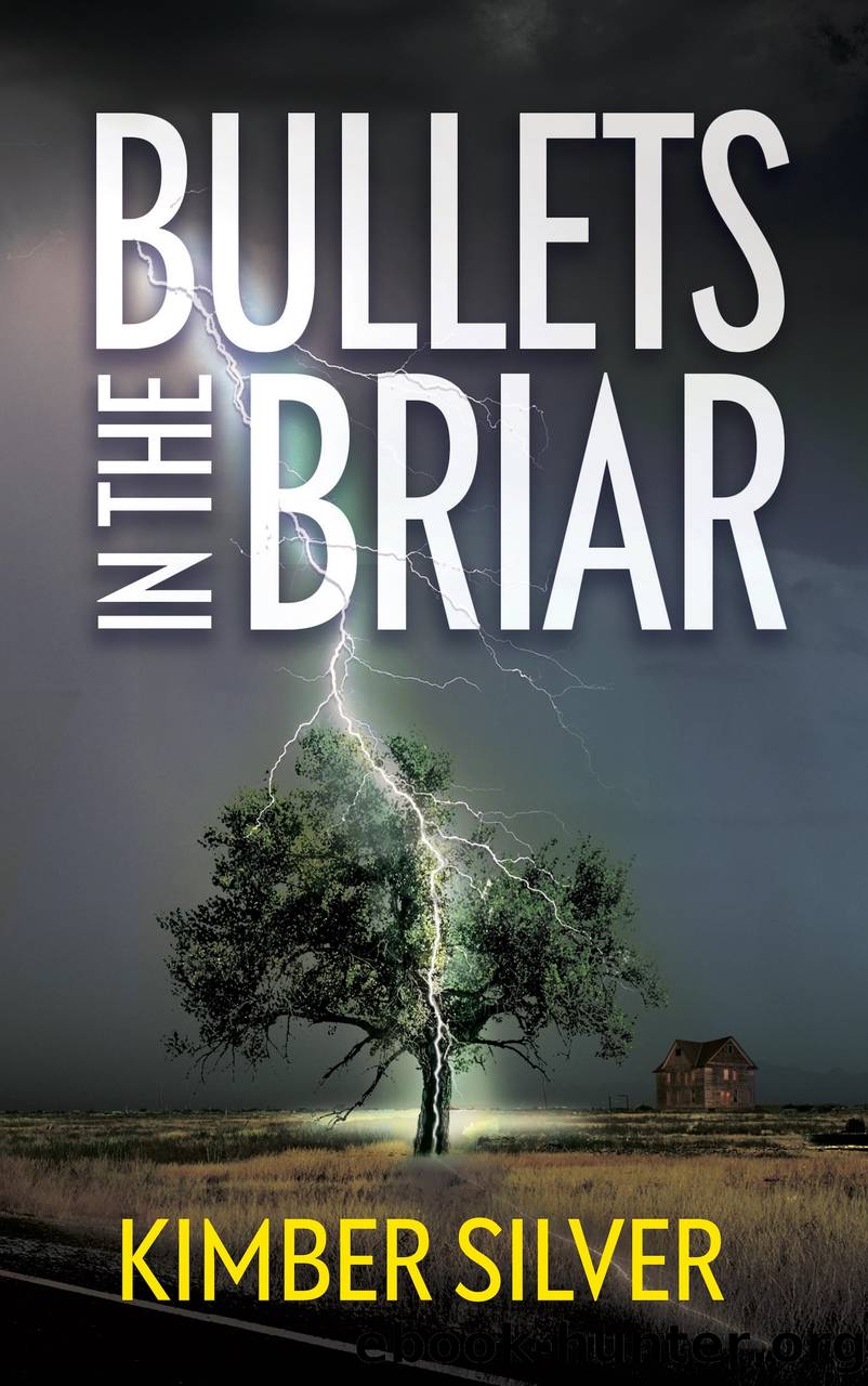 Bullets in the Briar by Kimber Silver