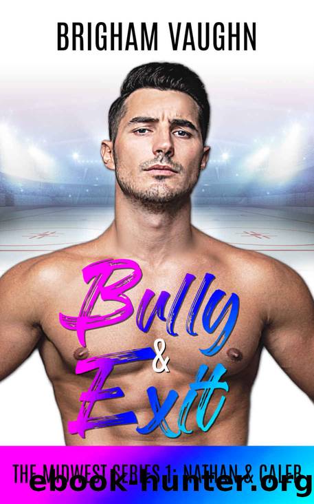 Bully & Exit (The Midwest Series Book 1) by Brigham Vaughn