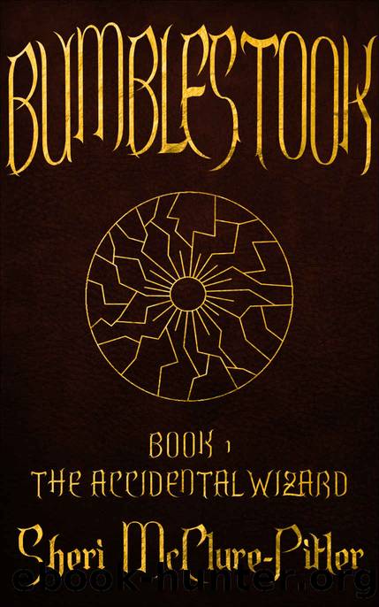 Bumblestook: Book 1, The Accidental Wizard by Sheri McClure-Pitler
