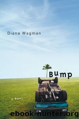 Bump by Diana Wagman