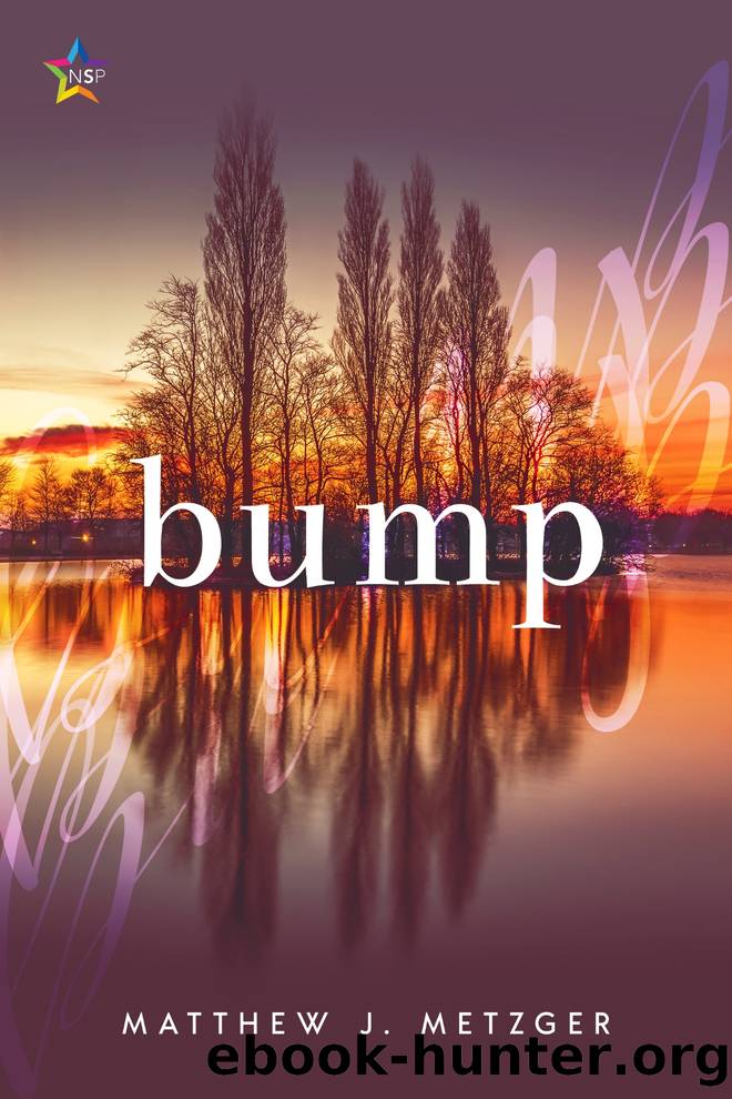 Bump by Matthew J. Metzger