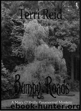 Bumpy Roads (Mary O'Reilly Series Book 11) by Terri Reid