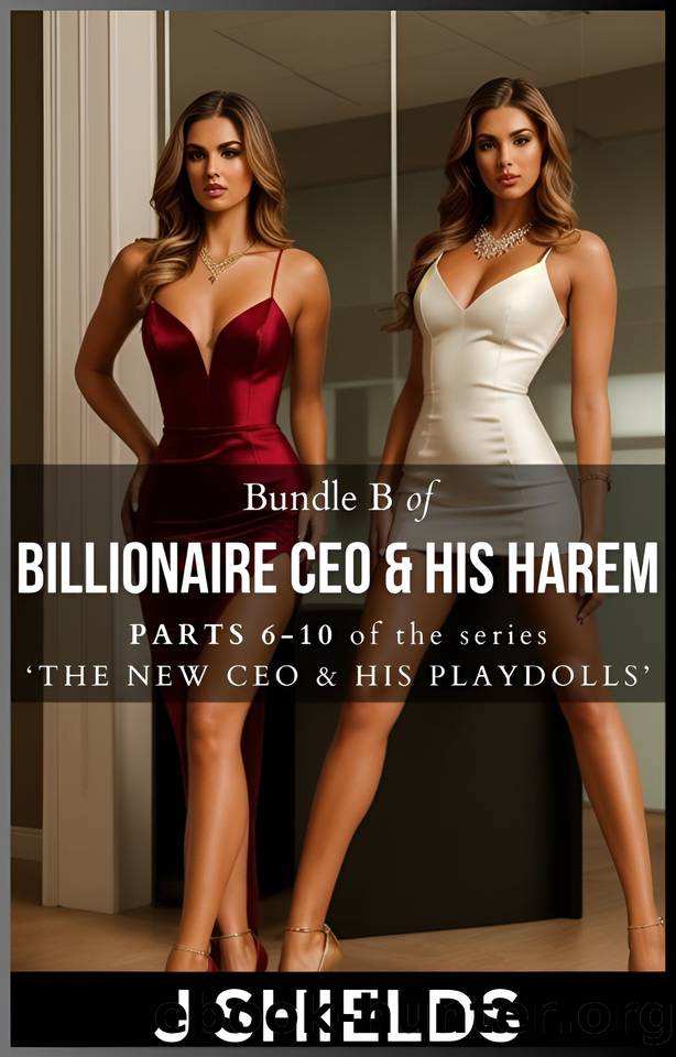 Bundle B of BILLIONAIRE CEO & HIS HAREM: WORKPLACE | BDSM EROTICA (The New CEO & His PlayDolls) by Shields J