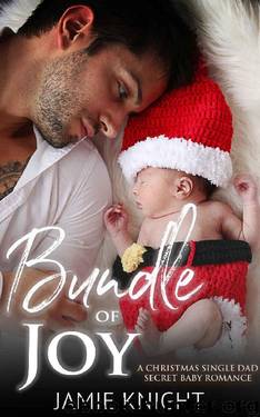 Bundle of Joy: A Christmas Single Dad Secret Baby Romance by Jamie Knight