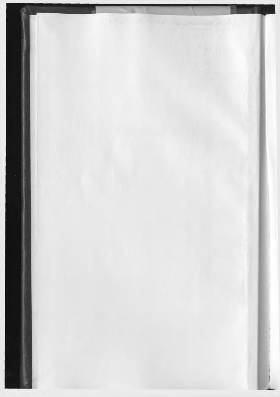 Bungo manual : selected reference materials for students of classical Japanese by Helen Craig McCullough