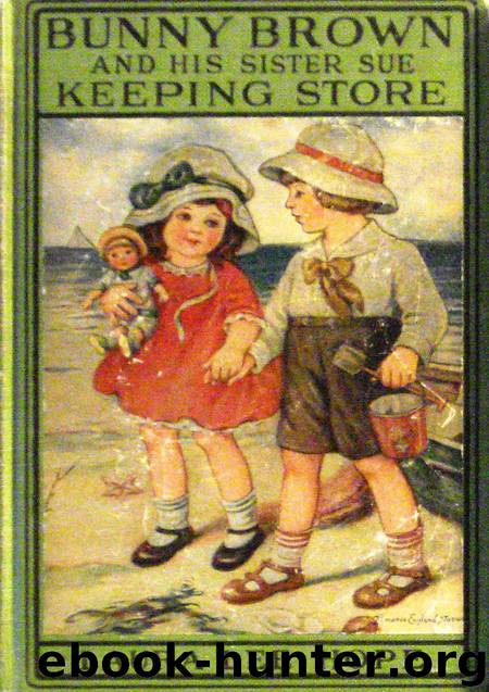 Bunny Brown and His Sister Sue Keeping Store by Laura Lee Hope