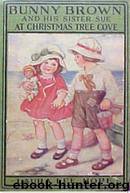 Bunny Brown and His Sister Sue at Christmas Tree Cove by Laura Lee Hope