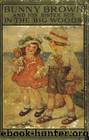 Bunny Brown and His Sister Sue in the Big Woods by Laura Lee Hope