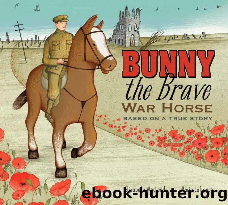 Bunny the Brave War Horse by Elizabeth MacLeod