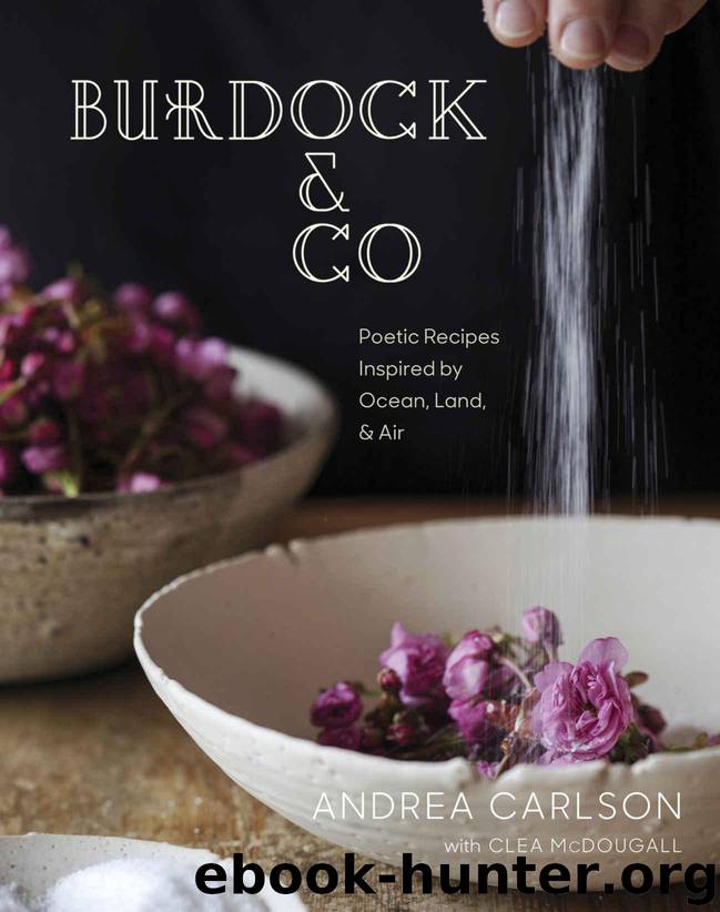 Burdock & Co by Carlson Andrea