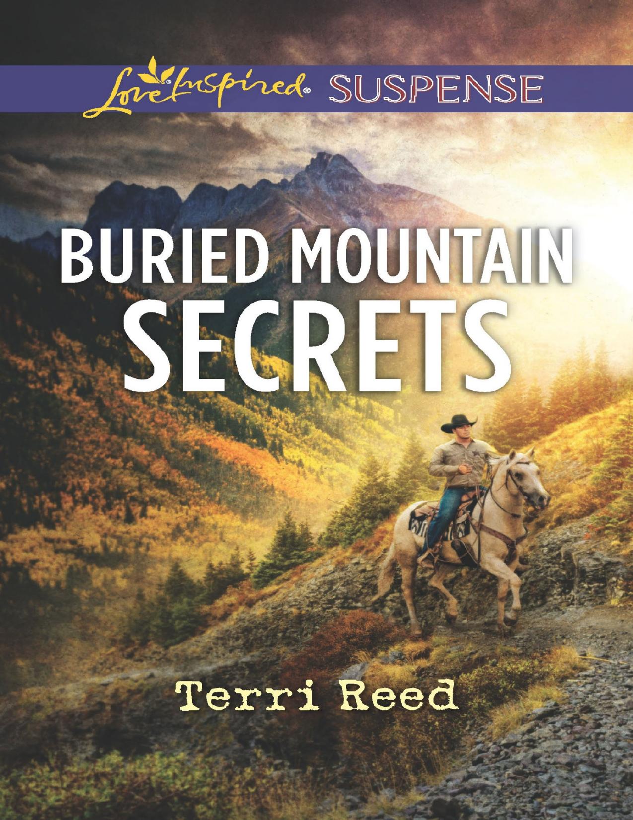 Buried Mountain Secrets by Terri Reed