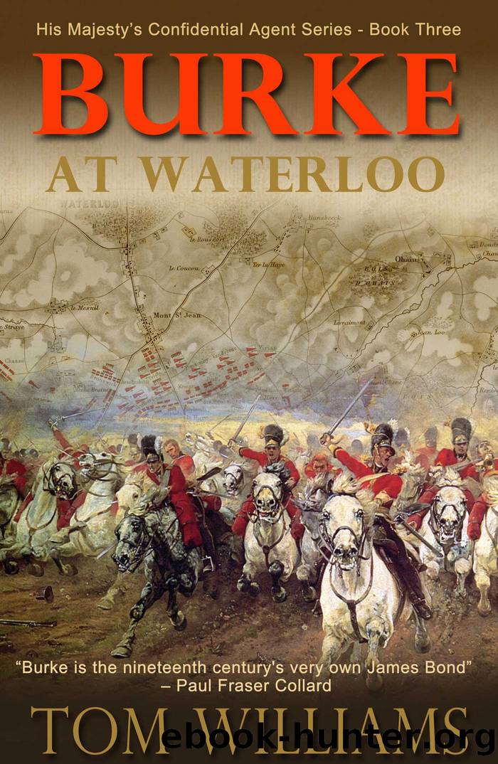 Burke at Waterloo by Tom Williams