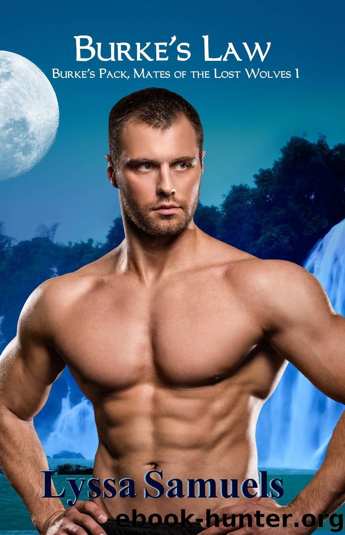 Burke's Law by Lyssa Samuels