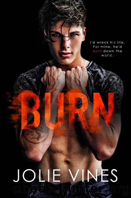 Burn (Dark Island Scots, #4) by Jolie Vines