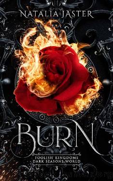 Burn (Dark Seasons: Foolish Kingdoms Book 3) by Natalia Jaster