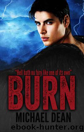 Burn (Drift Book 3) by Michael Dean