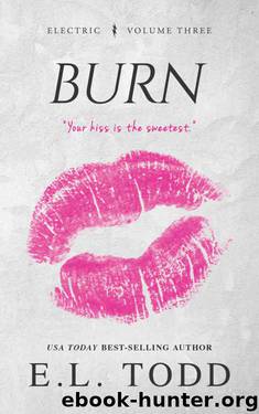 Burn (Electric Series #3) by E. L. Todd