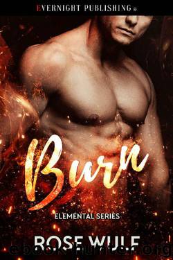 Burn (Elemental Series Book 4) by Rose Wulf