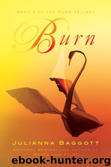 Burn (The Pure Trilogy) by Baggott Julianna