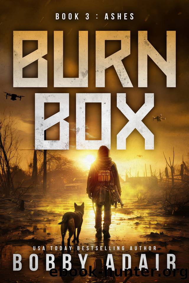 Burn Box: Ashes, Book 3 by Bobby Adair