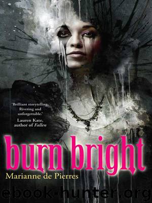 Burn Bright by Marianne De Pierres