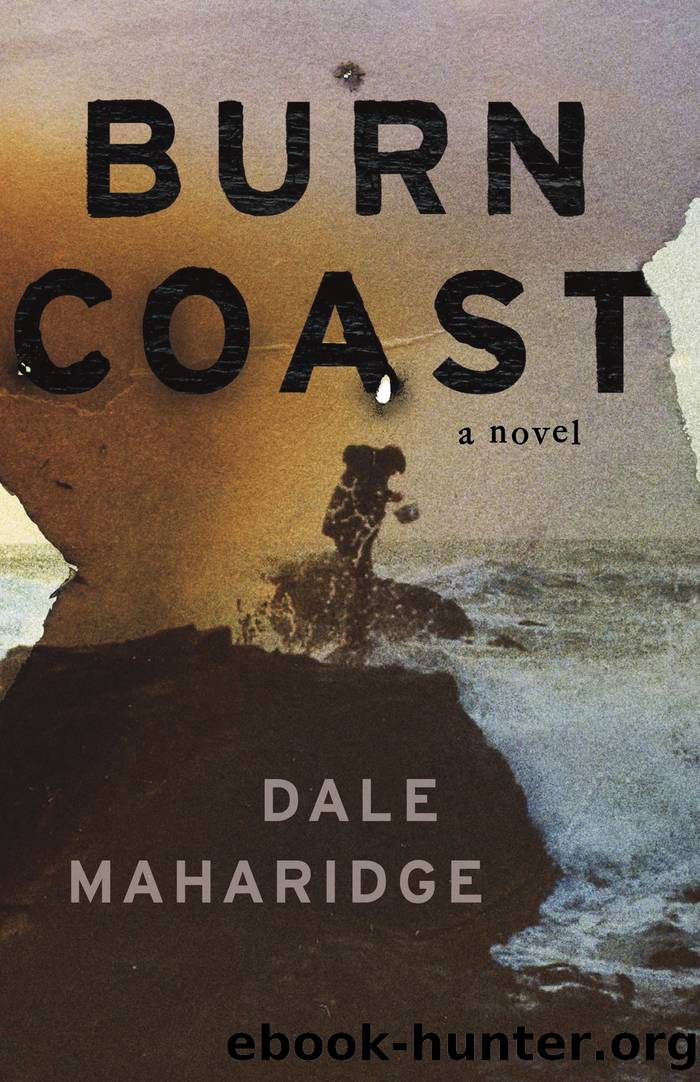 Burn Coast by Dale Maharidge