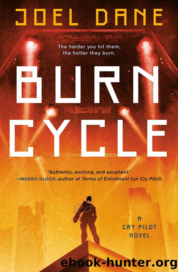 Burn Cycle by Joel Dane