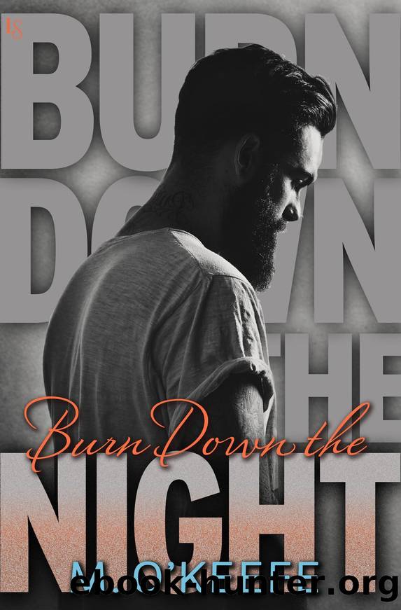 Burn Down the Night by M O'Keefe