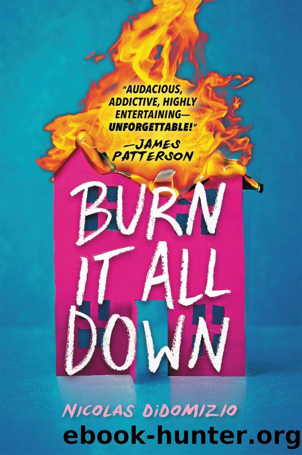 Burn It All Down by Nicolas DiDomizio