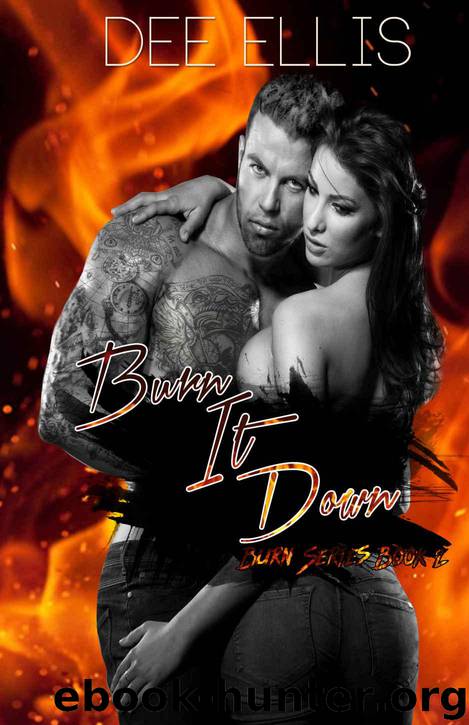 Burn It Down by Dee Ellis