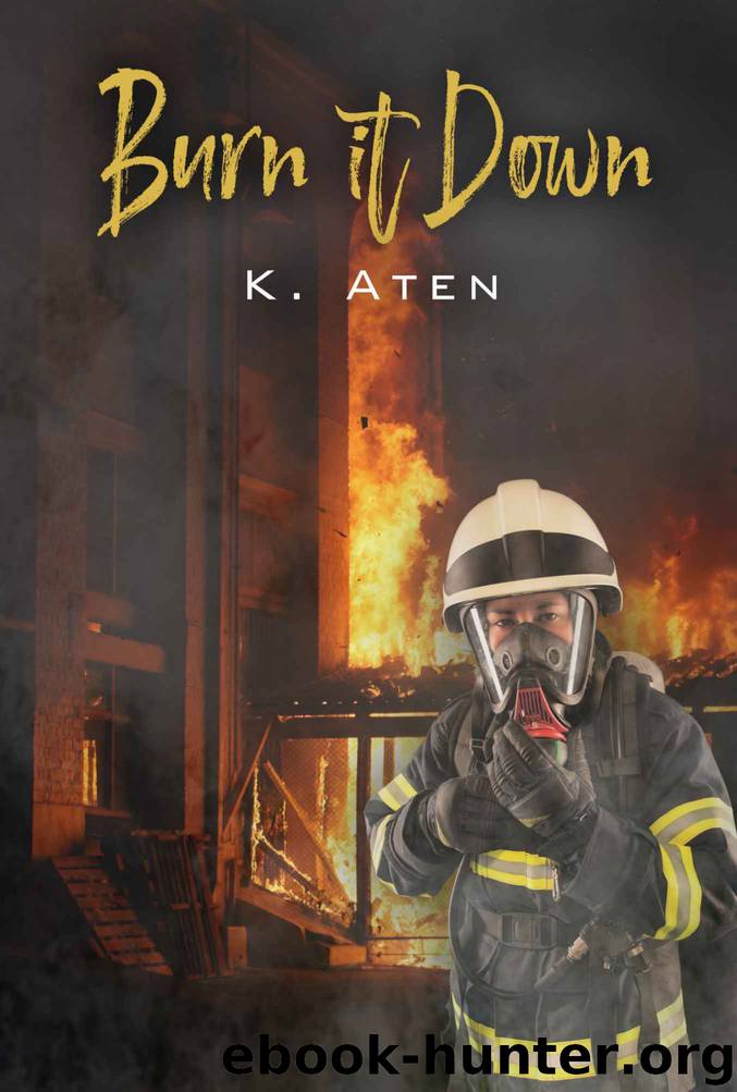 Burn It Down by K Aten