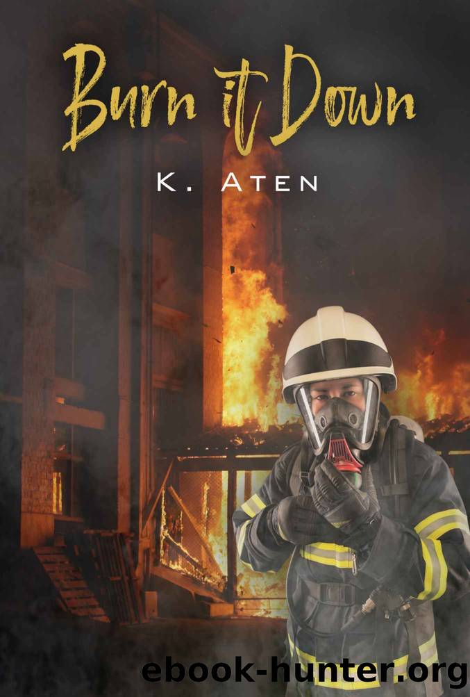 Burn It Down by K. Aten