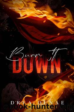 Burn It Down: Blisshaven Academy Book Two by Drea Denae