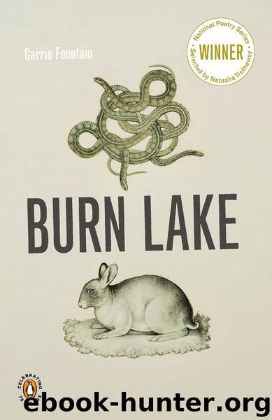 Burn Lake by Carrie Fountain