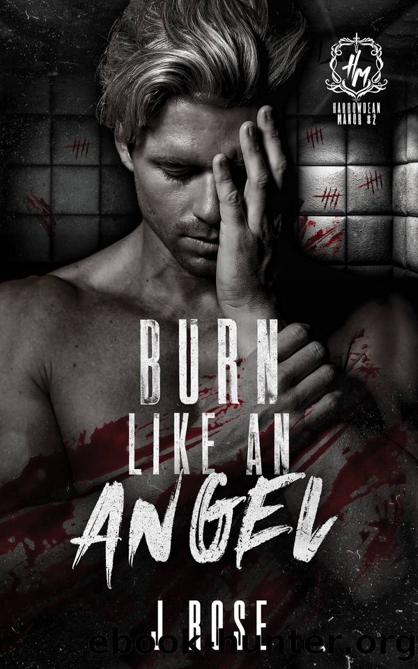Burn Like An Angel: A Dark Reverse Harem Romance (Harrowdean Manor Book 2) by J Rose