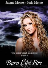 Burn Like Fire by Jayme Morse & Jody Morse