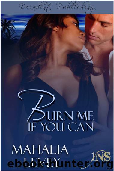 Burn Me if You Can by Mahalia Levey