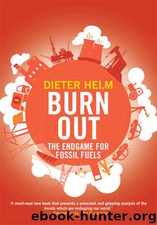 Burn Out by Dieter Helm